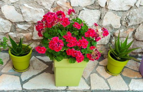 Amelie Sea View Apartments - Foto 43