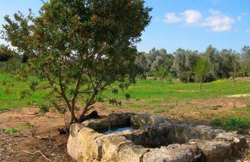 Masseria Causio - Photo 20