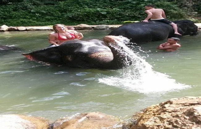 Half Day Elephant Bathing welfare center from Phuket - Foto 6