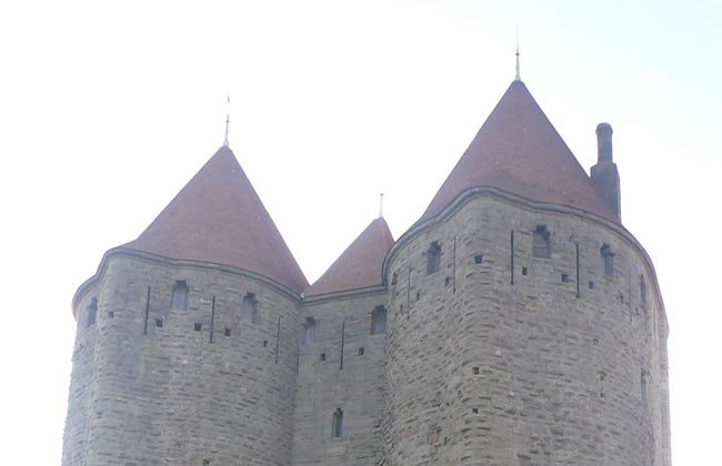 Visita guidata alle cure di Carcassonne - Foto 1