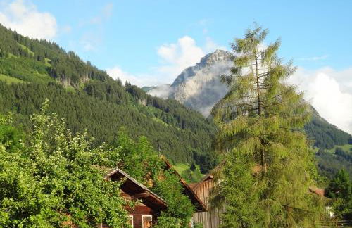 Landhaus Tannheimer - Foto 12