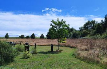 Domaine équestre de la Chênaie - Foto 49