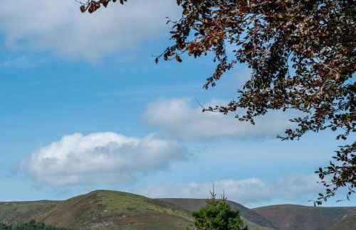 Berries Coach House - Foto 10