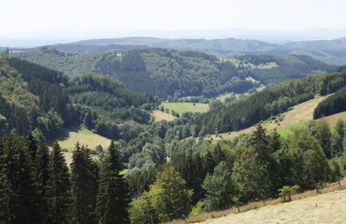 Ferienhaus Haus am Medebach - Foto 41