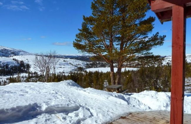 Furulie Cabin - Flå - Foto 22