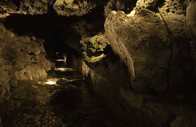 Visite à la découverte de l'Etna à Catane - Photo 5