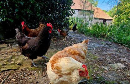 Bessie May Cottage - Foto 42