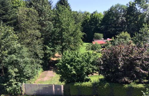 Zentrumsnahe Dachwohnung in grüner Oase - Foto 9