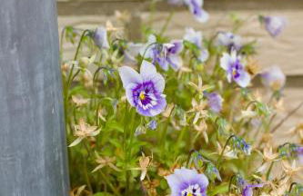 Ferienhaus Plattenberg - Foto 58