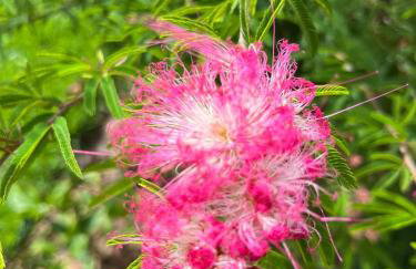 Céu do Morro - Foto 17