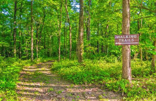 Almost Heaven Too 50-Acre Escape with Pond! - Foto 36