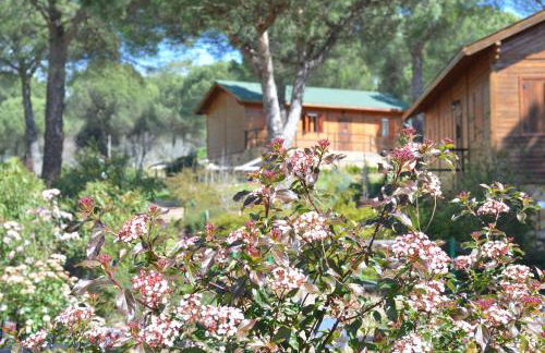 Apartamentos Paraje San Gines - Foto 41