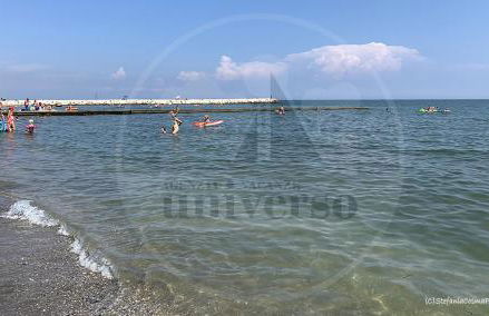 SOTTO IL PINO - Foto 28