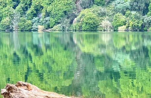 Casa Quinta das Férias - Photo 47