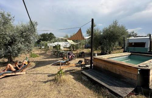 La Casa tra gli Ulivi - Cottage in legno - Foto 15