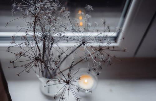 Ferienwohnung Waldeck - Foto 24