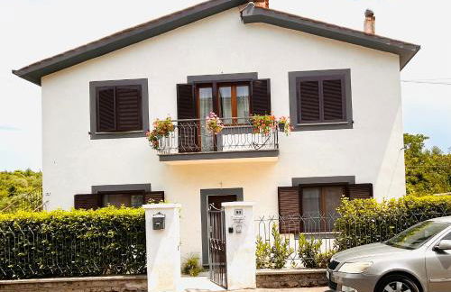 Paloma nel bosco - Foto 6