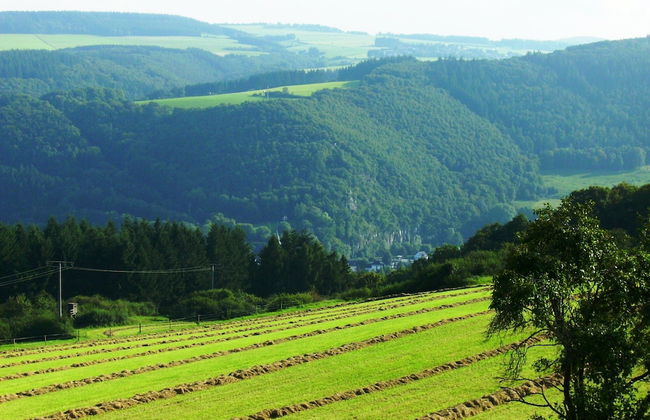 Beautiful Holidayhome With Sauna and Terrace - Photo 34