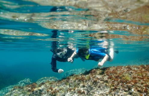 ROQUES DAURADES III - JARDIN PRIVADO - Foto 64