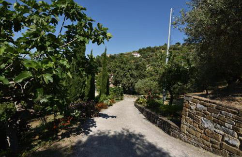 Casalesanpietro - Foto 13