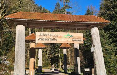 Ferienwohnung Tannenballett mit Panorama über den Schwarzwald in Baiersbronn - Foto 25