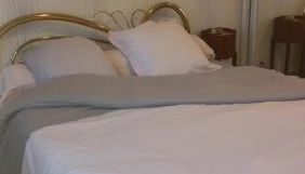 25 Rue Raymond Braillard - Foto 2