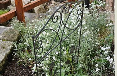 Miuti Residence - Foto 32