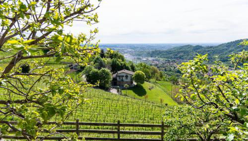 Polisena L'Altro Agriturismo Veg - Foto 4, Garden