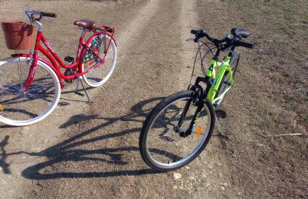 Ruralna kuća za odmor LOVRAK - Foto 25
