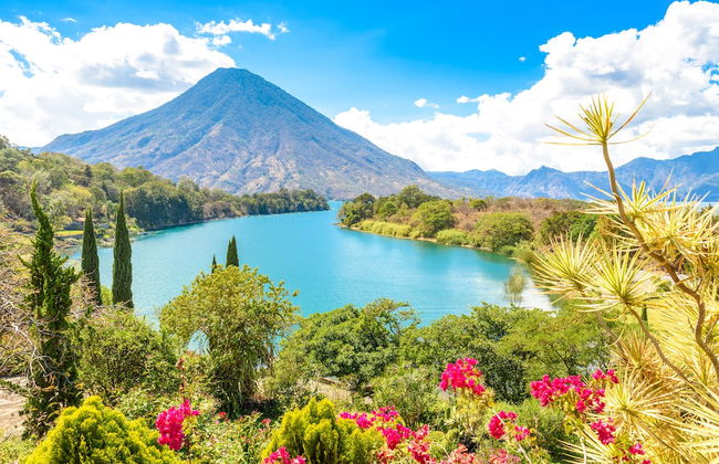 Casa Paxanax - Foto 41