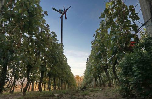 Apartment Wine Tale - Foto 8