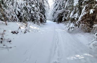 Landhaus Friedl - Foto 6