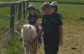 Reiterhof vom Litzlbach - Foto 58