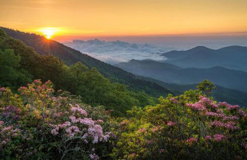 Cool Springs Manor - Foto 5