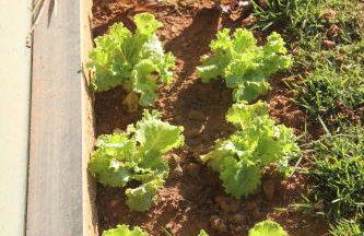 Cabana Secretário - Foto 31