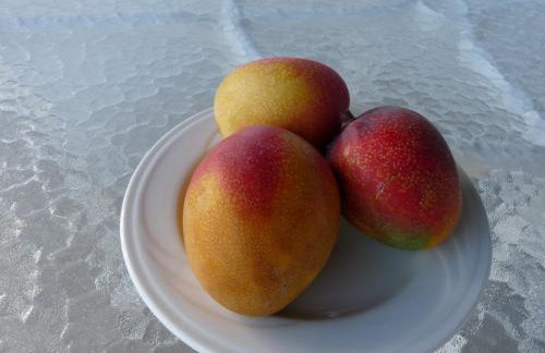 Kiahuna Plantation 96, Poipu Beach, Club Membership, Part Ocean View, Kids Toys - Foto 21