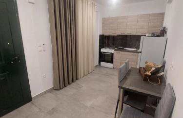 Irina's Apartment - Photo 69