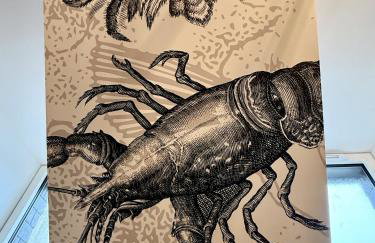 Au Homard Suspendu - Foto 16