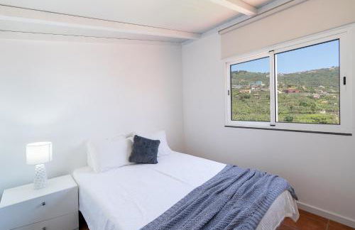 Apartment Annie 2 - Photo 21