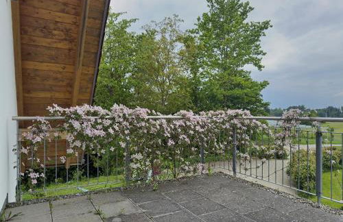 Biohof Stotz - Foto 67