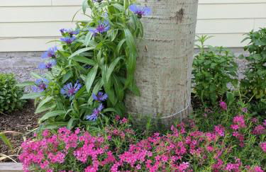 Spectacular Mountain Condo - Foto 8