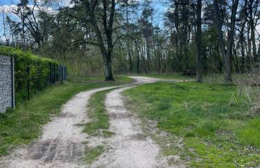 Siedlisko Mokra - Leśniczówka pod Jaworem - Foto 22