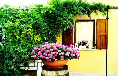 Agriturismo Cà Nuova - Foto 8