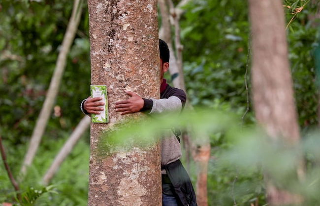 Wild Mahseer - Foto 34