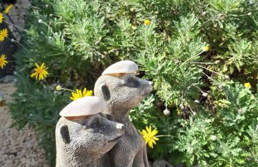 Casa Katalyna - Foto 10