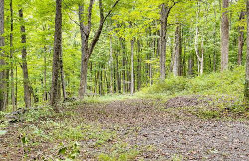 Pet-Friendly Cottage, 2 Mi to Saugatuck Falls - Foto 18