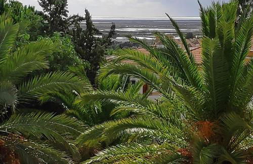 Cosy Tavira Holidays - Foto 6