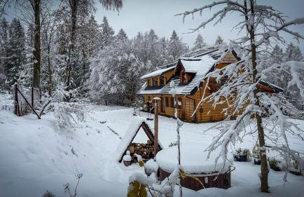Nadleśniczówka - Bieszczadzka Zagroda - Foto 3
