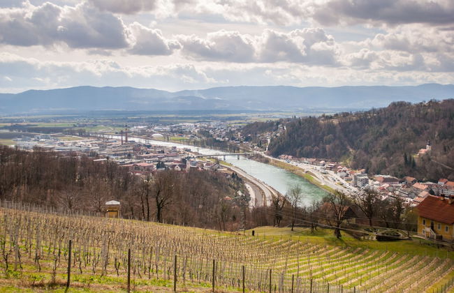 Authentic Wooden House Sleme - Foto 30