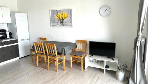 SDH 1 Radzymin comfortable apartment near Warsaw - Foto 5